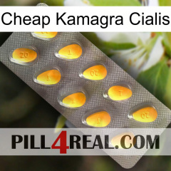 Cheap Kamagra Cialis cialis1